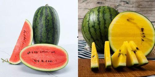 5.1吃瓜网官网,揭秘娱乐圈最新热点，带你畅游八卦海洋